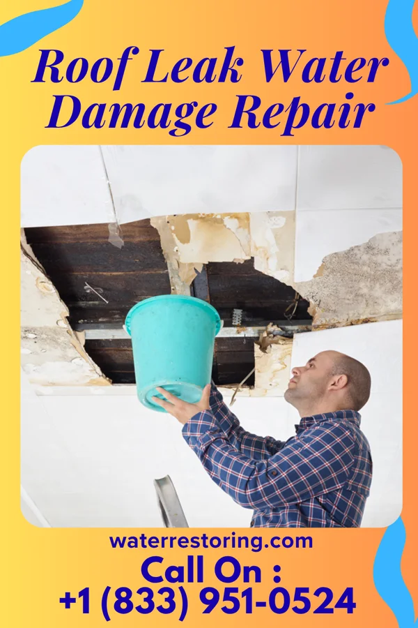 Roof Leak Water Damage Repair in Meriden, KS